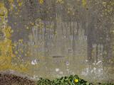 image of grave number 963386